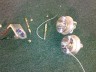 PAT/Lesco UV Lamp & Reflector Modules pic2
